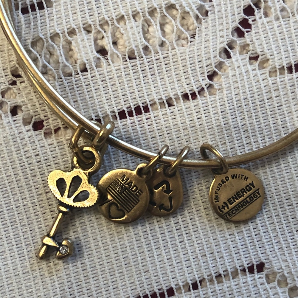 Alex and ani skeleton key bracelet